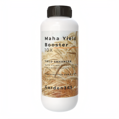 Maha Yield Booster 10X Yield Enhancer for All Crops | Improves Fruit Size, Weight & Productivity