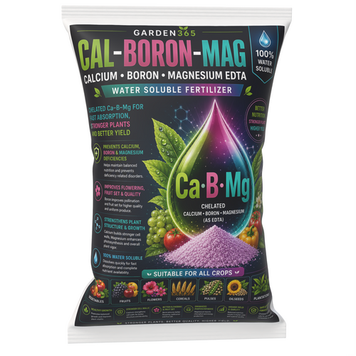 Calcium BM Powder – EDTA Based Calcium Boron Magnesium Fertilizer for Strong Growth & Fruit Quality