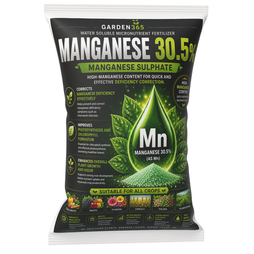 Manganese Sulphate 30.5% – Water Soluble Manganese Fertilizer for Greener Leaves & Strong Growth