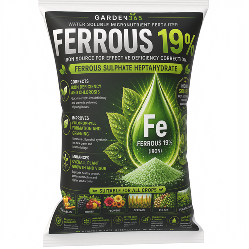 Ferrous Sulphate Heptahydrate 19% – Water Soluble Iron Fertilizer for Iron Deficiency Correction