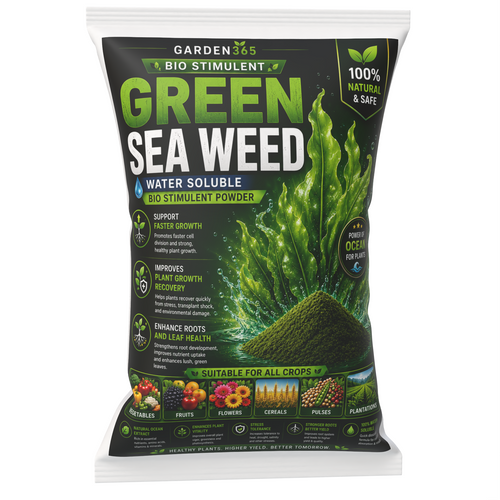Green Seaweed Powder – Natural Biostimulant for Strong Growth, Stress Tolerance & Higher Yield
