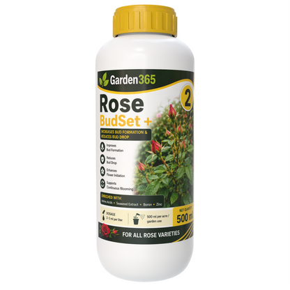 Rose Yield Booster Kit – Rose 1 Growth Boost+ | Rose 2 BudSet+ | Rose 3 BloomMax+ for More Buds, Bigger Flowers, Rich Color & Continuous Blooming