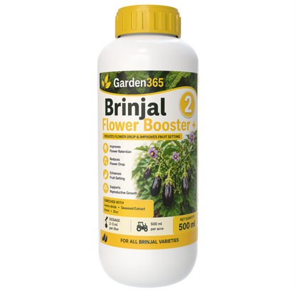 Brinjal Yield Booster Kit – Brinjal 1 Growth Booster+ | Brinjal 2 Flower Booster+ | Brinjal 3 Yield Max+ for Higher Yield, Fruit Size & Quality