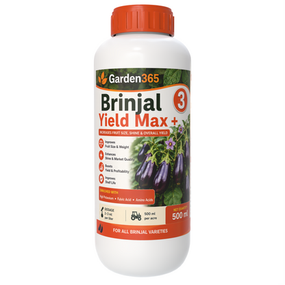 Brinjal Yield Booster Kit – Brinjal 1 Growth Booster+ | Brinjal 2 Flower Booster+ | Brinjal 3 Yield Max+ for Higher Yield, Fruit Size & Quality