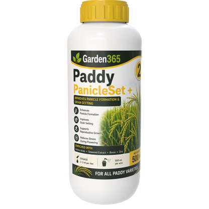 Paddy Yield Booster Kit – Paddy 1 TillerMax+ | Paddy 2 PanicleSet+ | Paddy 3 GrainFill+ for Higher Yield, Better Grain Filling, Improved Grain Weight & Maximum Productivity