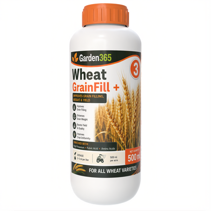 Wheat Yield Booster Kit – Wheat 1 TillerMax+ | Wheat 2 PanicleSet+ | Wheat 3 GrainFill+ for Strong Tillering, Better Panicle Formation, Improved Grain Filling, Higher Yield & Grain Quality
