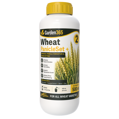 Wheat Yield Booster Kit – Wheat 1 TillerMax+ | Wheat 2 PanicleSet+ | Wheat 3 GrainFill+ for Strong Tillering, Better Panicle Formation, Improved Grain Filling, Higher Yield & Grain Quality
