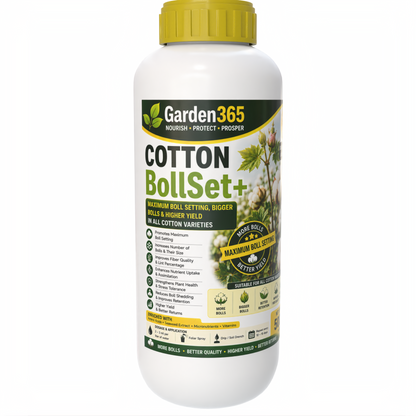 Cotton Yield Booster Kit – Cotton 1 BranchMax+ | Cotton 2 BollSet+ | Cotton 3 YieldMax+ for Higher Yield, Boll Size & Fiber Quality