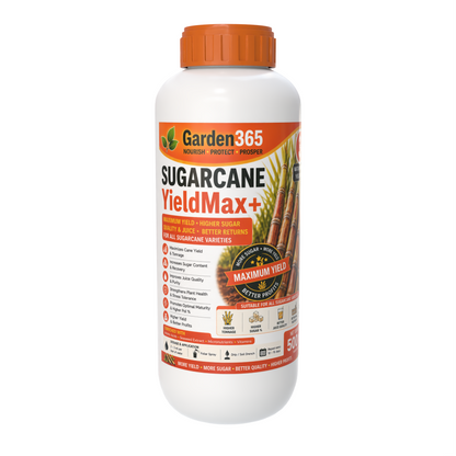 Sugarcane Yield Booster Kit – Sugarcane 1 CaneMax+ | Sugarcane 2 CaneBulk+ | Sugarcane 3 YieldMax+ for Higher Yield, More Tillers, Increased Sugar Recovery & Better Profits