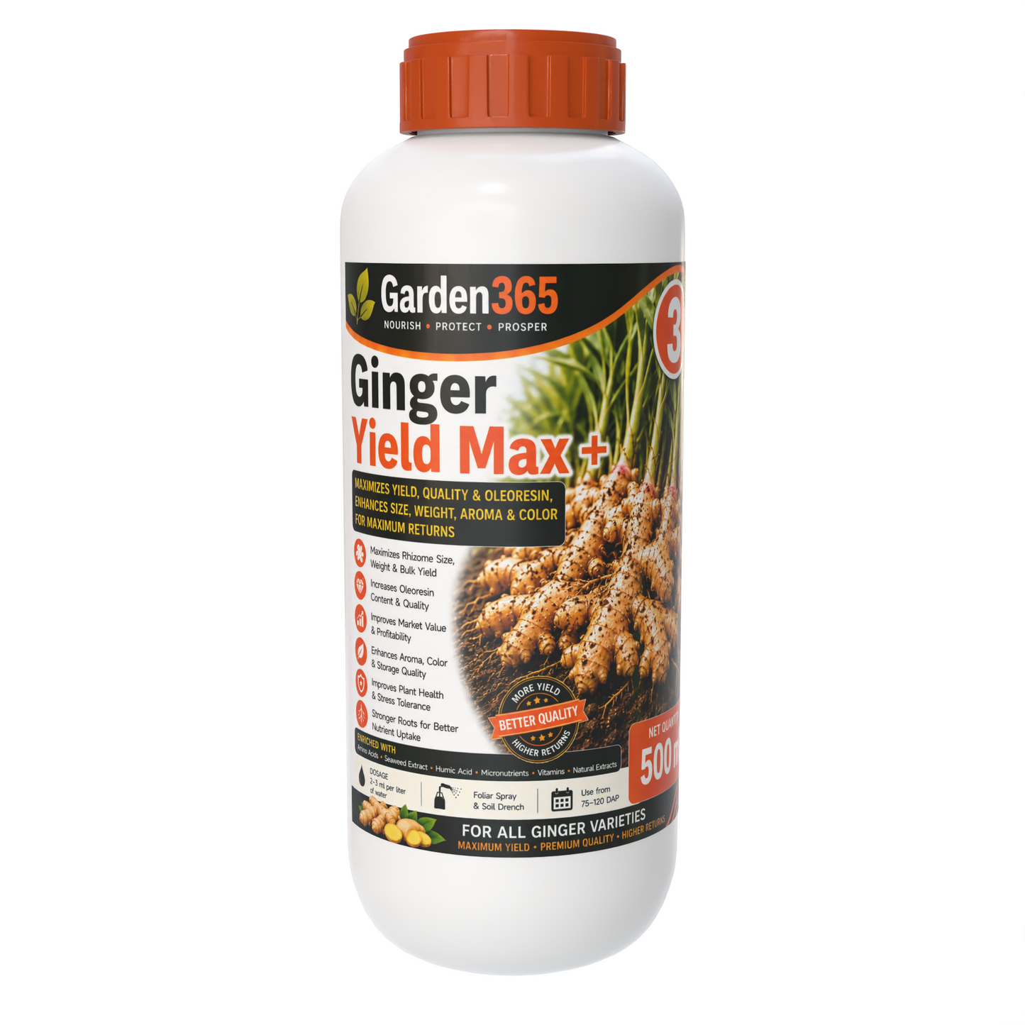Ginger Yield Booster Kit – Ginger 1 GrowthMax+ | Ginger 2 BulkingSet+ | Ginger 3 Yield Max+ for Higher Rhizome Yield, Better Size, Improved Oleoresin Content & Premium Ginger Quality