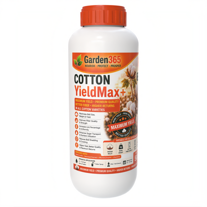 Cotton Yield Booster Kit – Cotton 1 BranchMax+ | Cotton 2 BollSet+ | Cotton 3 YieldMax+ for Higher Yield, Boll Size & Fiber Quality