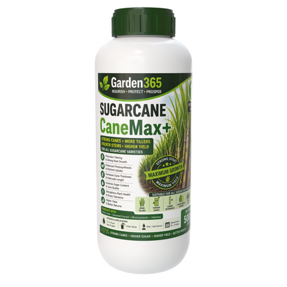 Sugarcane Yield Booster Kit – Sugarcane 1 CaneMax+ | Sugarcane 2 CaneBulk+ | Sugarcane 3 YieldMax+ for Higher Yield, More Tillers, Increased Sugar Recovery & Better Profits