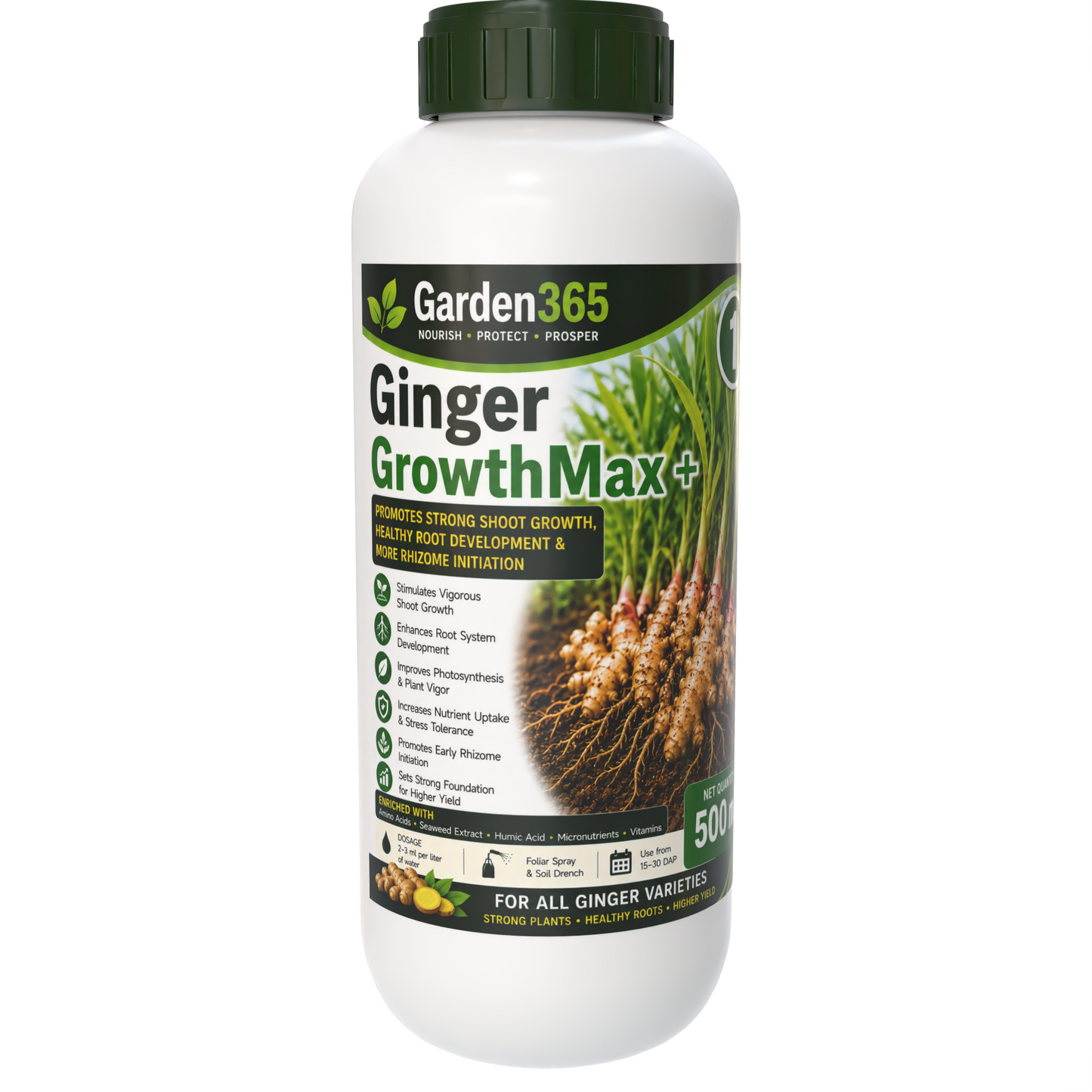 Ginger Yield Booster Kit – Ginger 1 GrowthMax+ | Ginger 2 BulkingSet+ | Ginger 3 Yield Max+ for Higher Rhizome Yield, Better Size, Improved Oleoresin Content & Premium Ginger Quality