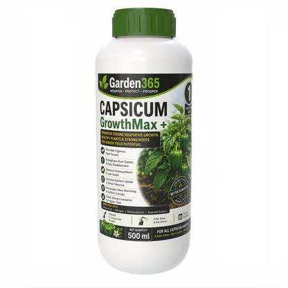 Capsicum Yield Booster Kit – Capsicum 1 GrowthMax+ | Capsicum 2 FlowerSet+ | Capsicum 3 YieldMax+ for Higher Yield, Fruit Size & Quality