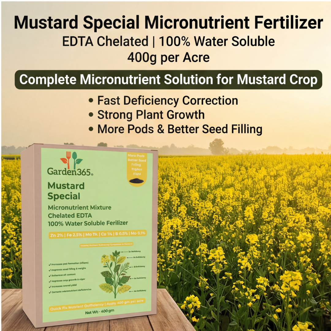 Mustard Special Micronutrient Fertilizer  (सरसों | ಸಾಸಿವೆ | ఆవాలు | கடுகு | കടുക്)  EDTA Chelated 100% Water Soluble Fertilizer – 400g per Acre