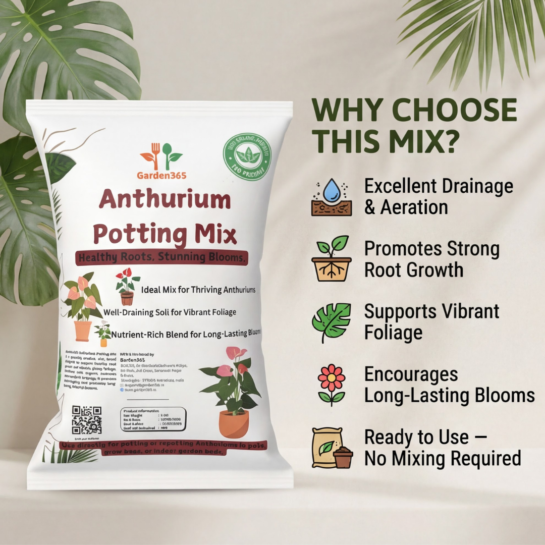 Anthurium Potting Mix  | Special Soil for Healthy Anthuriums