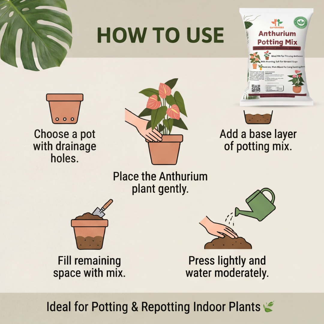 Anthurium Potting Mix  | Special Soil for Healthy Anthuriums