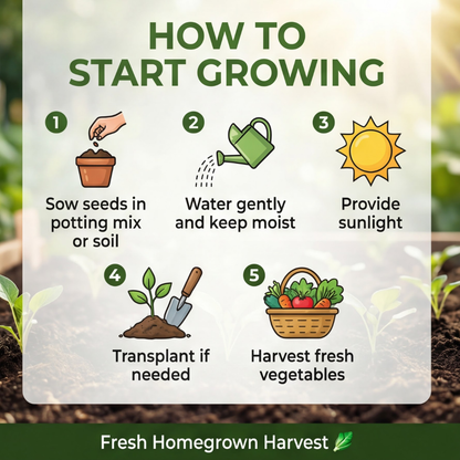 Capsicum Seeds (Bell Pepper) | Organic Heirloom Naati Seeds | 30 Seeds | Kitchen Garden Seeds of शिमला मिर्च / ಕ್ಯಾಪ್ಸಿಕಮ್ / క్యాప్సికం / குடைமிளகாய் / ക്യാപ്സിക്കം