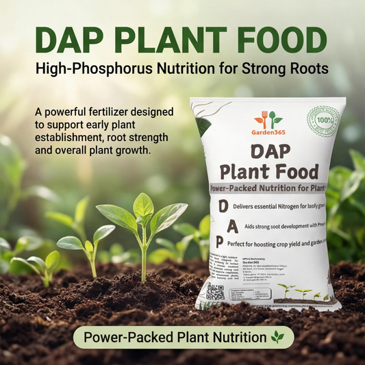 DAP Fertilizer | High-Phosphorus Plant Food for Strong Roots & Healthy Growth