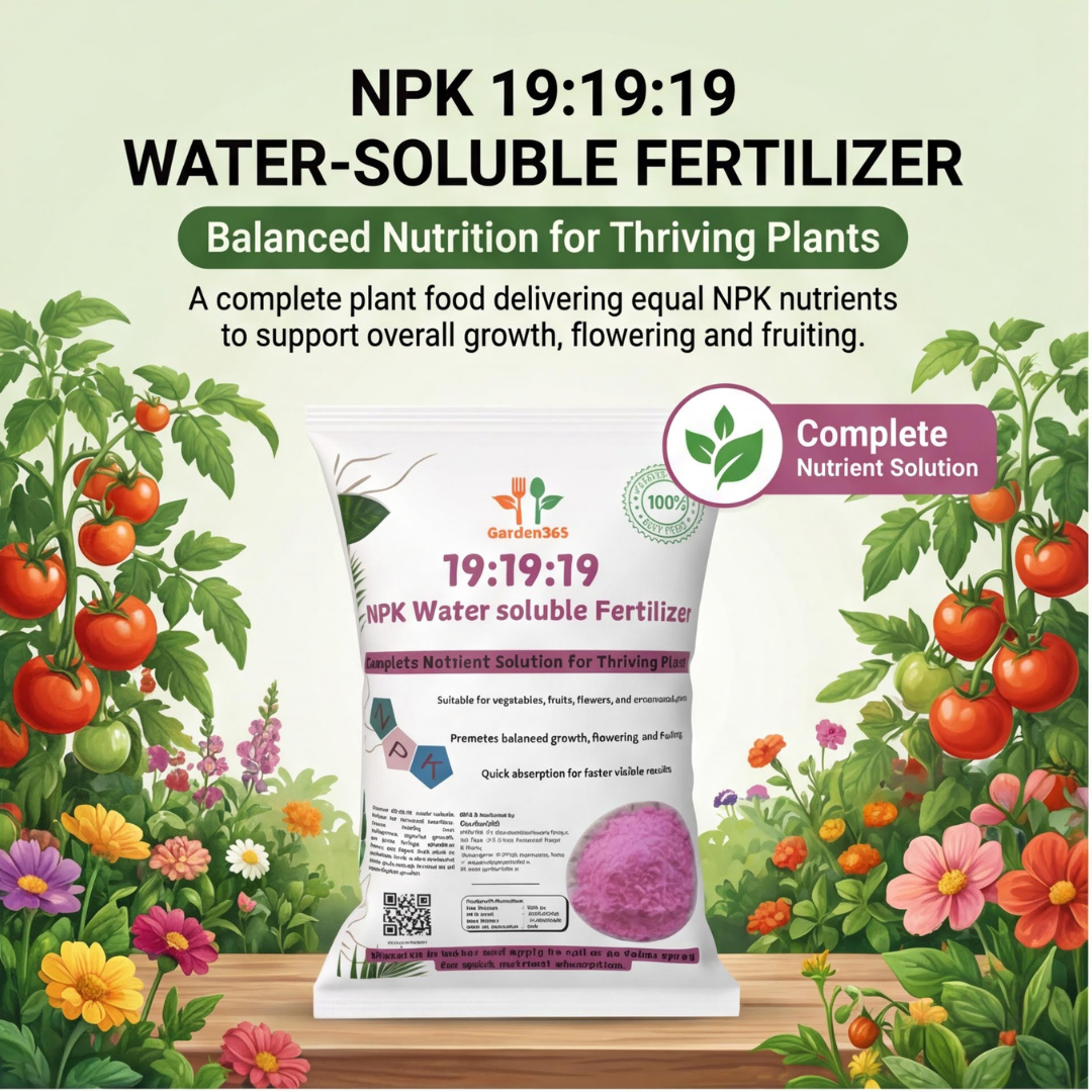 19:19:19 All Water-Soluble Fertilizer for Plants – Balanced NPK Nutrition