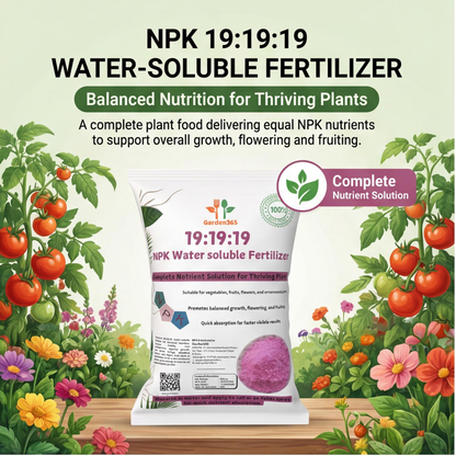 19:19:19 All Water-Soluble Fertilizer for Plants – Balanced NPK Nutrition