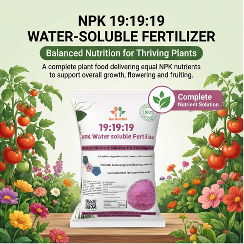 19:19:19 All Water-Soluble Fertilizer for Plants – Balanced NPK Nutrition