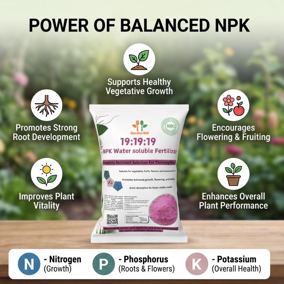 19:19:19 All Water-Soluble Fertilizer for Plants – Balanced NPK Nutrition