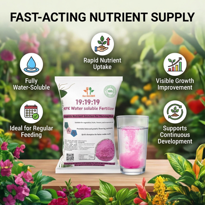 19:19:19 All Water-Soluble Fertilizer for Plants – Balanced NPK Nutrition