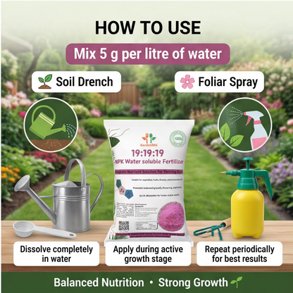 19:19:19 All Water-Soluble Fertilizer for Plants – Balanced NPK Nutrition