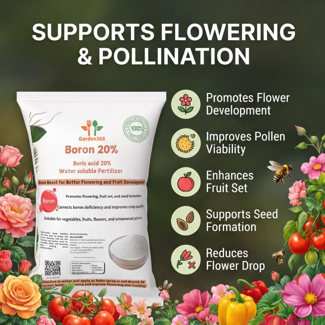 बोरोन 20% – पौधों के लिए सूक्ष्म पोषक तत्व युक्त उर्वरक | बोरोन उर्वरक 🌿✨