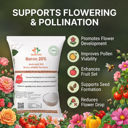 बोरोन 20% – पौधों के लिए सूक्ष्म पोषक तत्व युक्त उर्वरक | बोरोन उर्वरक 🌿✨