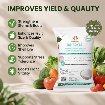 00-52-34 Water-Soluble Fertilizer (MKP) – High Phosphorus & Potassium Boost 🌿✨