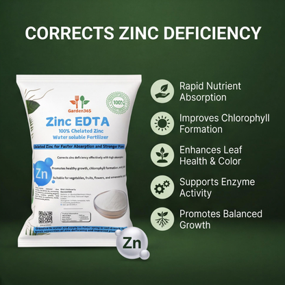 Zinc EDTA 12% – Chelated Micronutrient Fertilizer for Plants