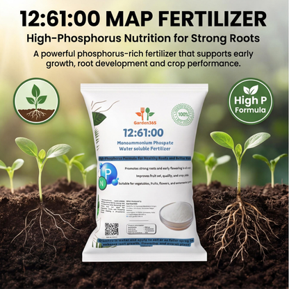 12-61-00 Mono Ammonium Phosphate (MAP) – Water-Soluble Fertilizer 🌿✨