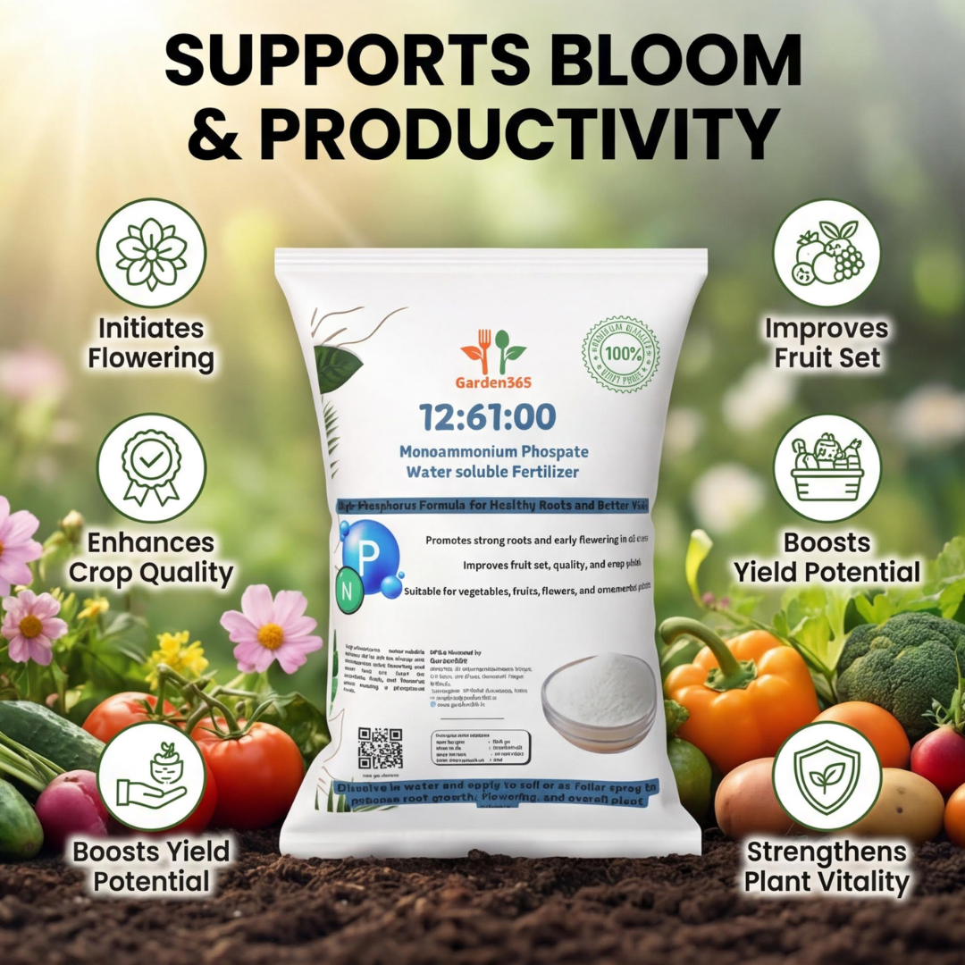 12-61-00 Mono Ammonium Phosphate (MAP) – Water-Soluble Fertilizer 🌿✨