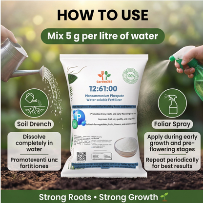12-61-00 Mono Ammonium Phosphate (MAP) – Water-Soluble Fertilizer 🌿✨