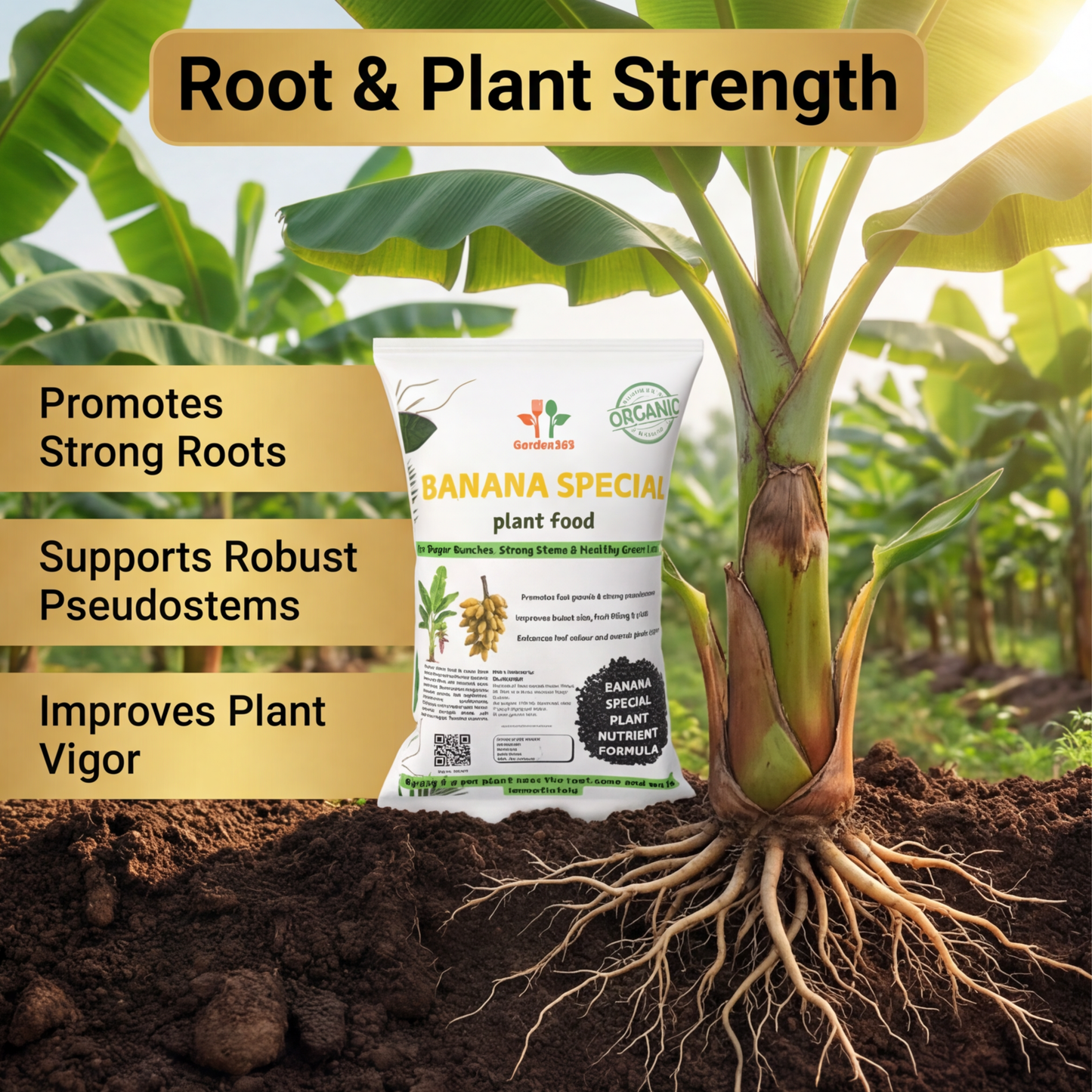 Banana Special Plant Food – Growth & Bunch Booster for Strong Plants, Bigger Bunches & Higher Yield (Apply Up to 20 Plants)