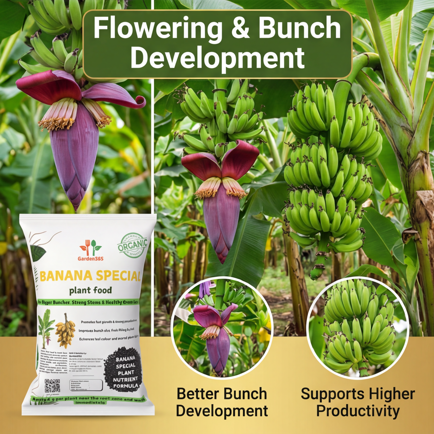 Banana Special Plant Food – Growth & Bunch Booster for Strong Plants, Bigger Bunches & Higher Yield (Apply Up to 20 Plants)