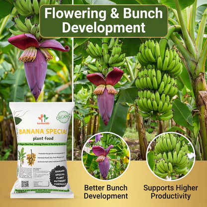 Banana Special Plant Food – Growth & Bunch Booster for Strong Plants, Bigger Bunches & Higher Yield (Apply Up to 20 Plants)