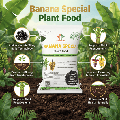Banana Special Plant Food – Growth & Bunch Booster for Strong Plants, Bigger Bunches & Higher Yield (Apply Up to 20 Plants)