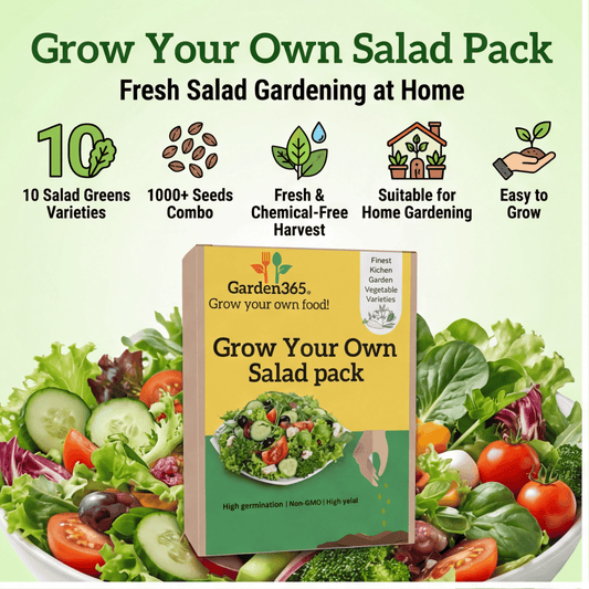 Grow Your Own Salad Pack – 10 Fresh Salad Greens Seeds Combo (1000+ seeds)