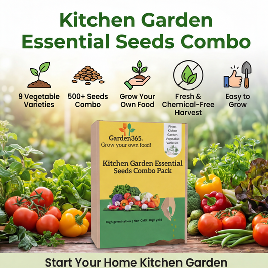 Kitchen Garden Essential Seeds Combo Pack – 9 Vegetable Varieties for Home Growing (500+ Seeds)