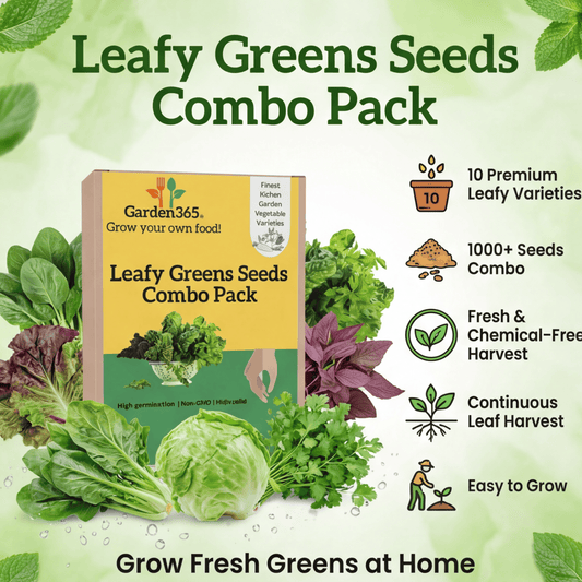Leafy Greens Seeds Combo Pack – 10 Premium Varieties for Fresh Home Harvests (1000+ Seeds)