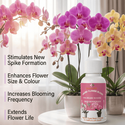 Orchid Flower Bloom – Organic Bio Fertilizer for Orchid 50 ml | Makes upto 10 Ltr
