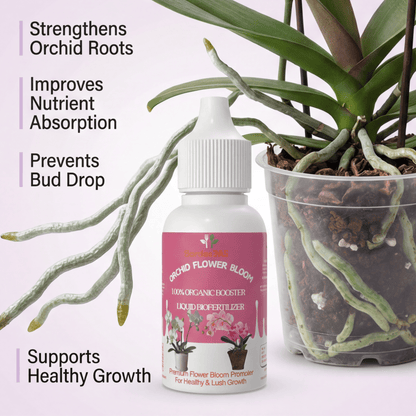 Orchid Flower Bloom – Organic Bio Fertilizer for Orchid 50 ml | Makes upto 10 Ltr