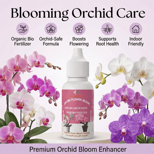 Orchid Flower Bloom – Organic Bio Fertilizer for Orchid 50 ml | Makes upto 10 Ltr