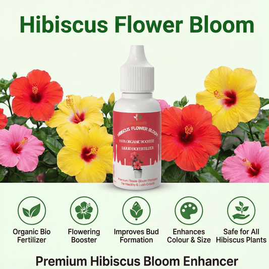 Hibiscus Flower Bloom – Organic Bio Fertilizer for Hibiscus 50 ml | Makes upto 10 Ltr