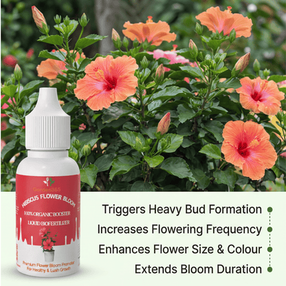 Hibiscus Flower Bloom – Organic Bio Fertilizer for Hibiscus 50 ml | Makes upto 10 Ltr