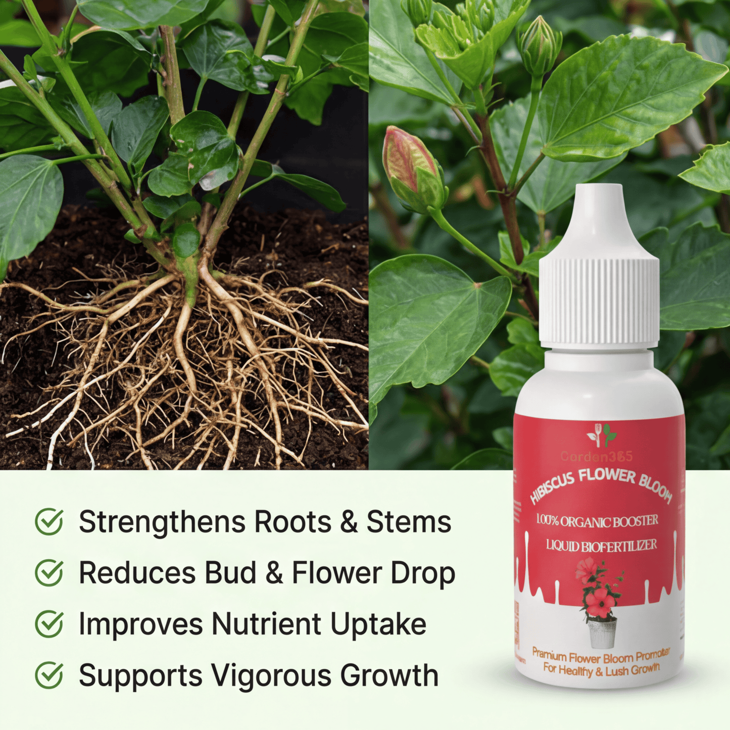 Hibiscus Flower Bloom – Organic Bio Fertilizer for Hibiscus 50 ml | Makes upto 10 Ltr