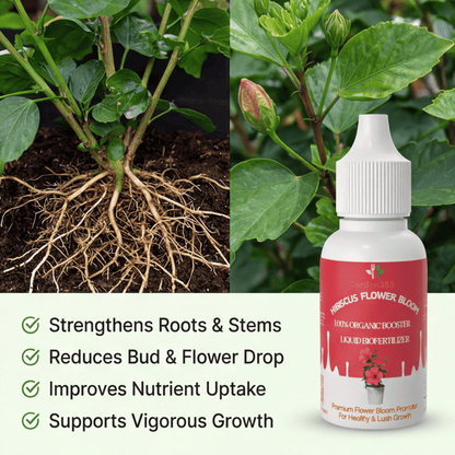 Hibiscus Flower Bloom – Organic Bio Fertilizer for Hibiscus 50 ml | Makes upto 10 Ltr